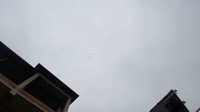 Летает при низкой облачности… смотреть онлайн