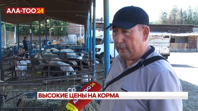 Цены на различные корма выше, чем в прошлом смотреть онлайн