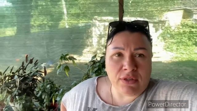 Что у нас происходит !