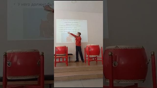 Провожу викторину по теме динозавров #2. 🐱🐉 смотреть онлайн