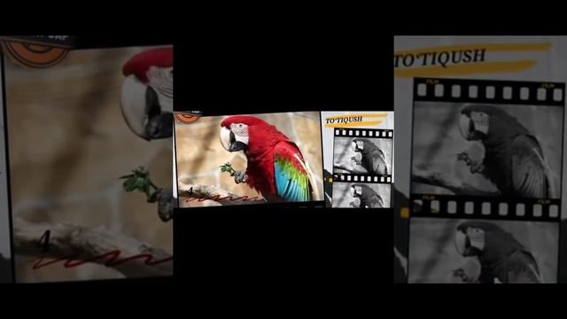 Осмонда саф саф фаришталар // АЛЛОХНИНГ МӮЖИЗАЛАРИ#16 смотреть онлайн