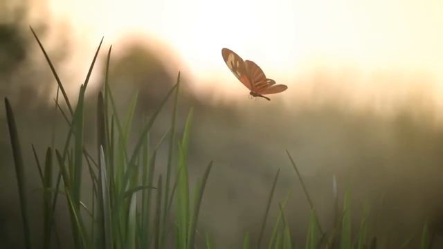 Saab Barracuda   Multi Spectral Advanced Camouflage 1080p