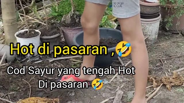 KALE HOT MARKET🥬 смотреть онлайн