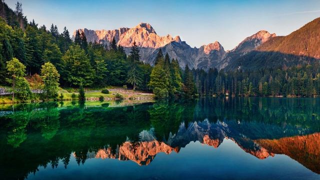 Connect and Reflect with Mother Earth: Music with Earth Schuman Resonance 7.83 hz and 9 Solfeggios смотреть онлайн