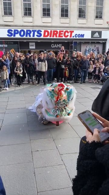 Chinese New Year 2024 Lion Dance - Lion Getting Drunk