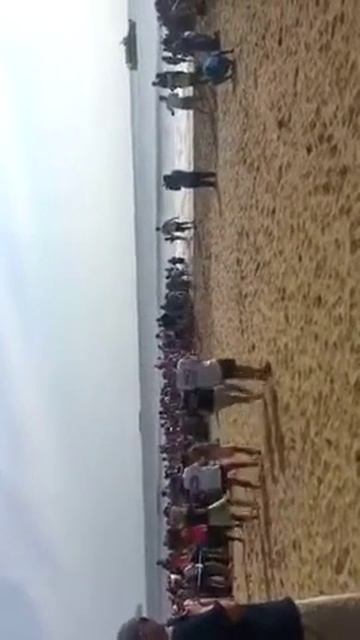 VBA turtles смотреть онлайн