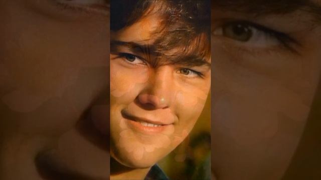 Цветы. Ласковый май ❤️