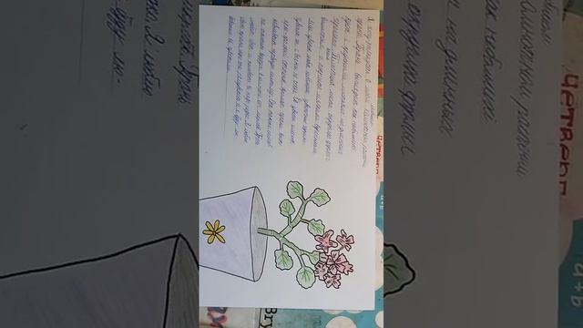 Доклад про герань💥 смотреть онлайн