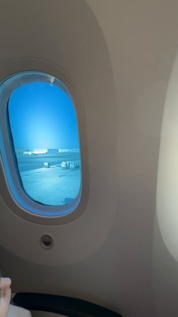 Etihad Airways - такого я еще не видел! Это шок! смотреть онлайн