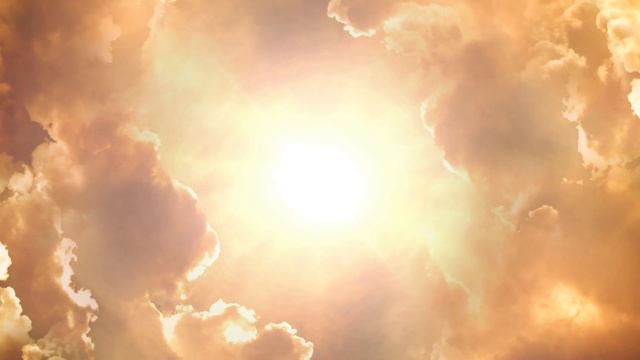 Ubijte sve puževe za samo nekoliko dana смотреть онлайн