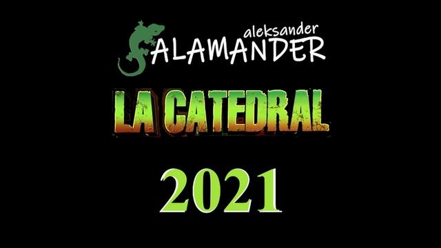 Aleksander Salamander - La Catedral 2021 смотреть онлайн