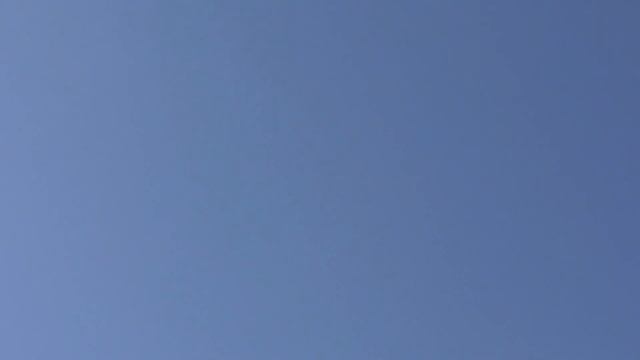 Мои Голуби. My Pigeons смотреть онлайн