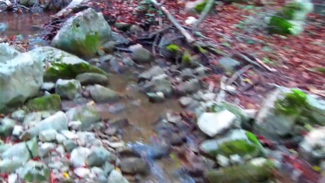 Долгоруковские сюжеты ранней осени