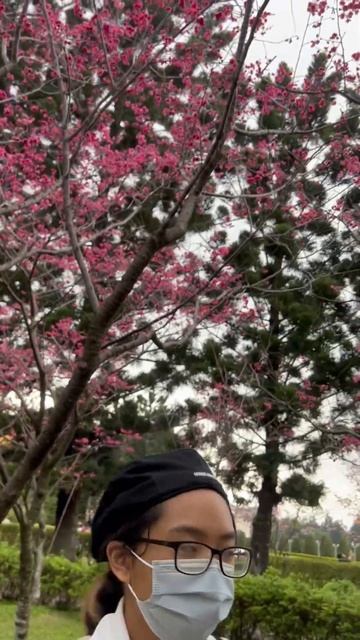 Sakura at C.K.S смотреть онлайн