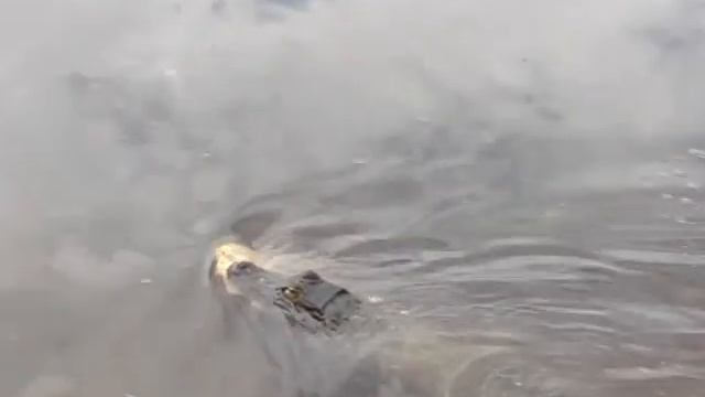 Juf op reis: Pantanal - Catch piranas, eaten by cayman смотреть онлайн
