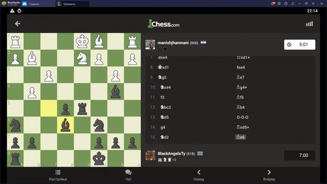 Шахматы. Игра с людьми смотреть онлайн