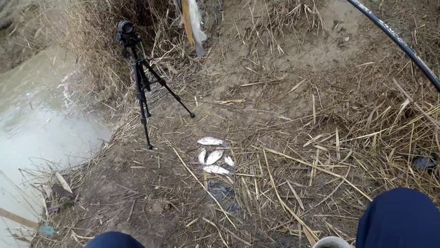 Baliq ovi bugun 26-Dekabir qishda ovi qilib koʻrdim ov yaxshi boʻldi 2023 2024 смотреть онлайн