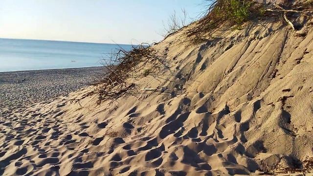 Дюны на Куршской косе, Калининградская область. Прекрасное место для отдыха смотреть онлайн