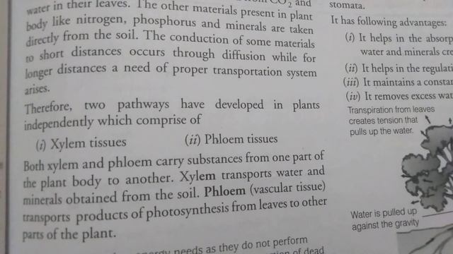 Chapter -Life Processes Topic-Transportation in plants class 10 Bio смотреть онлайн