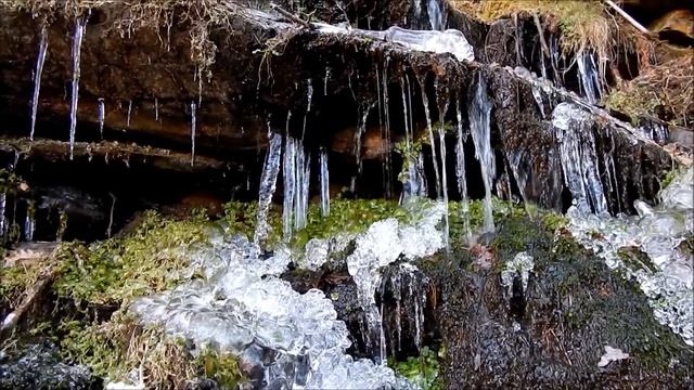 Capritxos de l'aigua, el gel i la temperatura-Ribes Altes (Ribes de Freser)-MeteoRibes смотреть онлайн