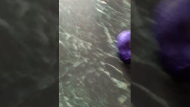 Новый канал!! Подписывайтесь, ставьте лайки, нажимайте на колокольчик, пишите комменты!!💓💜💜💖💖💖 смотреть онлайн