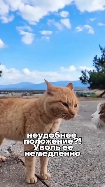 😂 Уволь её 😡 Немедленно смотреть онлайн