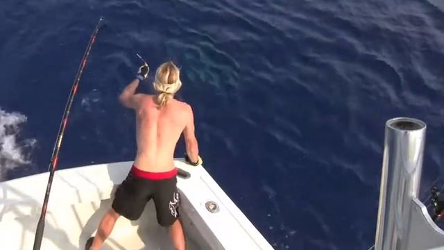 Bite Me Sportfishing Blue Marlin смотреть онлайн