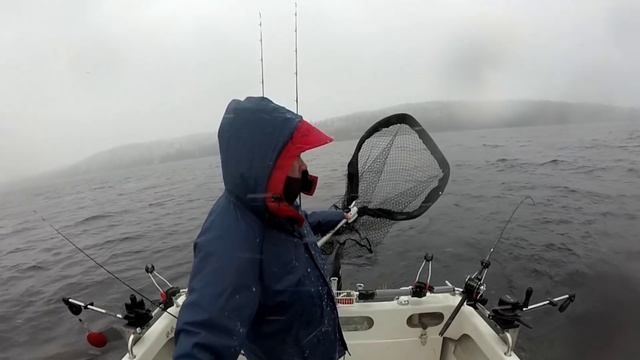 Päijänne 21.11 2015 6,8kg järvilohi. смотреть онлайн