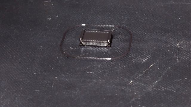 Raspberry pi HQ Camera - Octolapse - 1920x1080 - test 001 смотреть онлайн