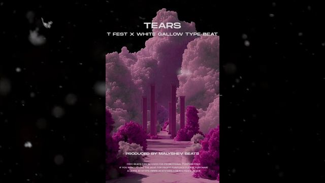 [FREE] T Fest x White Gallow type beat - Tears смотреть онлайн