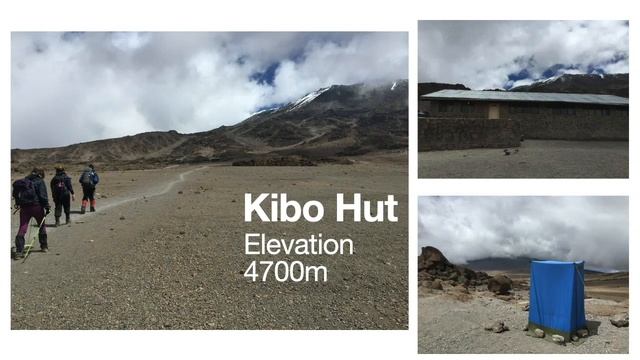 Opening Minds Virtual Talk 4 - Climbing Kilimanjaro смотреть онлайн