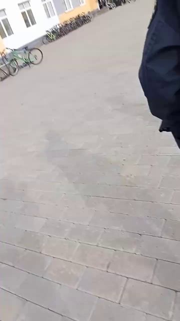 школа горит правда!!