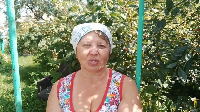 VLOG. Огородно - Домашние дела. смотреть онлайн