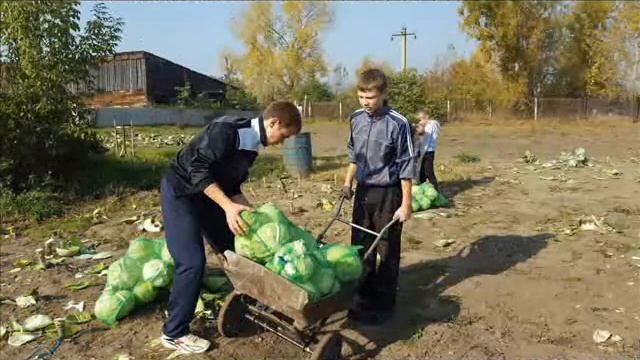 наш огород  2016