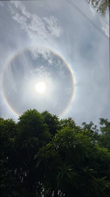 Sun Halo Phenomenon In Jamaica | Spectacular Natural Display #youtubeshorts #jamaica #sunhalo