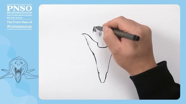 02 The Front View Of Kronosaurus | Join ZHAO Chuang In Drawing Jeff The Kronosaurus