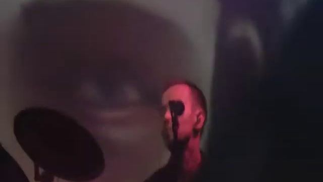 Dolphin.нечестно