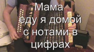 Мама еду я домой. (069 гармонь с цифрами)
