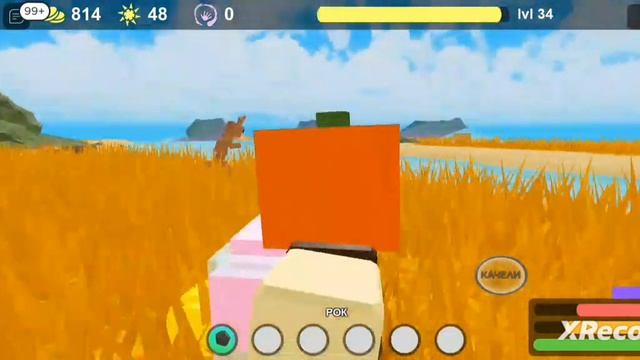 получил шляпу тыквы за 25 тыкв в буга буга роблокс смотреть онлайн