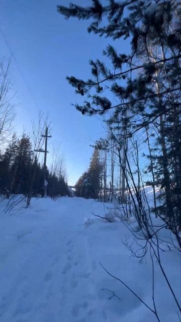 Sur-ron/зима катание/2024 смотреть онлайн