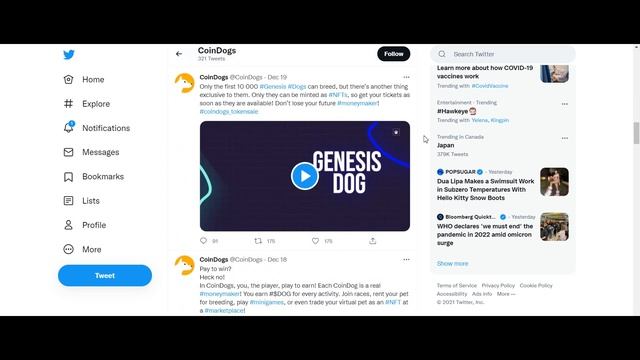 Coindogs Breed, Personalize, and Race NFT Dogs смотреть онлайн