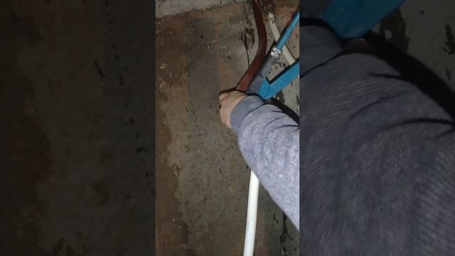 30 января 2021 г. смотреть онлайн