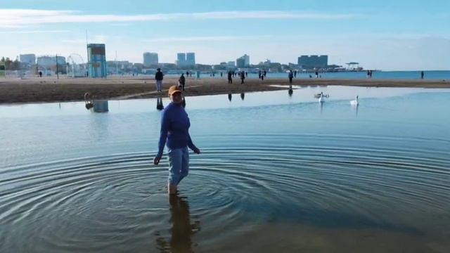 анапа лебеди смотреть онлайн