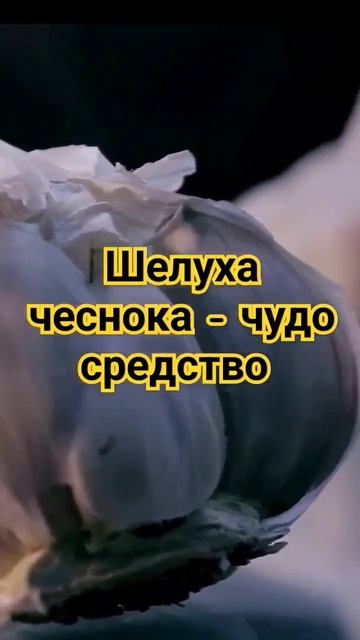 Шелуха чеснока польза #здоровыйобразжизни #здоровье #shorts #short #video