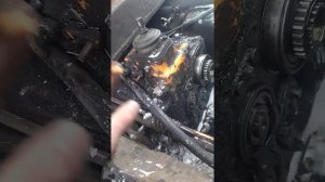 реверс извлекли из Дтшке, остается найти корпус и все собрать😃😃