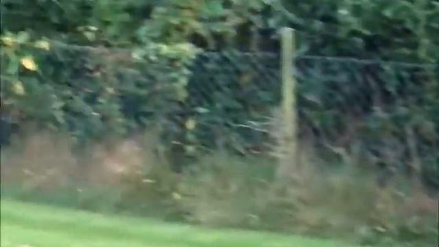 Flipping The Syma X5C Explorers RC Quadcopter