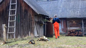 Востанавливаем Хутор. Повседневная жизнь в отдаленной деревне. Превращаем пень в деревенский декор