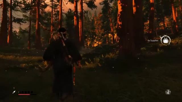 Ravis_7257: Ghost Of Tsushima!