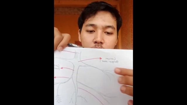 MORFOLOGI TUMBUHAN смотреть онлайн
