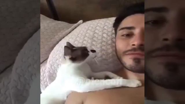 кошка хочет чтоб дядя поцеловал смотреть онлайн